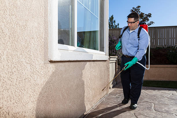 Best Pest Prevention Services  in Tyrone, OK